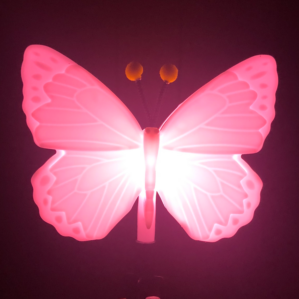 – Co Eternal Light Light Butterfly Eternal